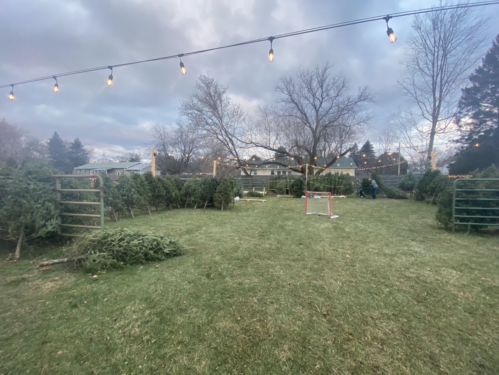 Milton Youth Hockey Association Christmas Tree sale